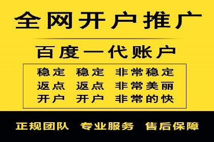 案例解析：sem竞价策略在电商平台的成功应用