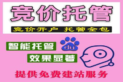 SEM运营策略案例分析